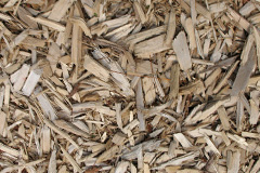 biomass boilers Lugwardine